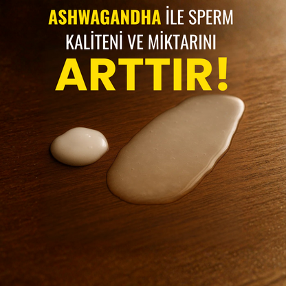 Mancore™ Shilajit  – Doğal Testosteron ve Performans Arttırıcı Gıda Takviyesi